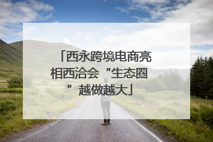西永跨境电商亮相西洽会“生态圈”越做越大