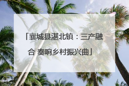 襄城县湛北镇：三产融合 奏响乡村振兴曲