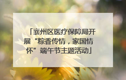襄州区医疗保障局开展“粽香传情，家国情怀”端午节主题活动