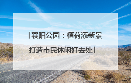襄阳公园：植荷添新景 打造市民休闲好去处