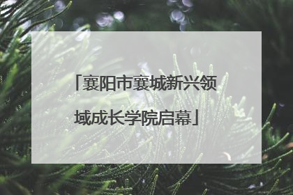 襄阳市襄城新兴领域成长学院启幕