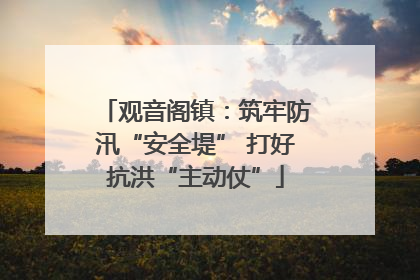 观音阁镇：筑牢防汛“安全堤” 打好抗洪“主动仗”
