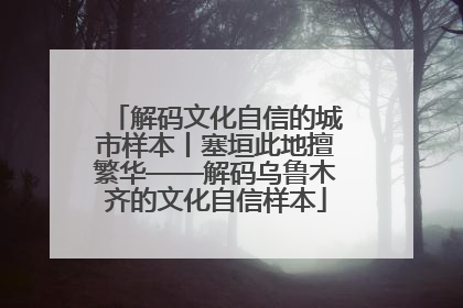 解码文化自信的城市样本丨塞垣此地擅繁华——解码乌鲁木齐的文化自信样本
