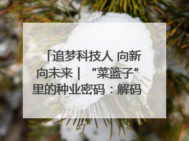 追梦科技人 向新向未来｜“菜篮子”里的种业密码：解码南京蔬菜分子育种的创新之路