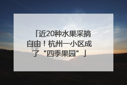 近20种水果采摘自由！杭州一小区成了“四季果园”