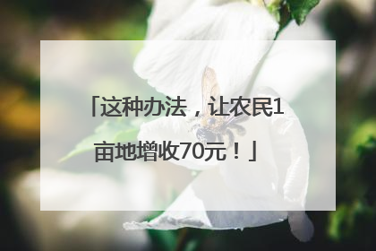 这种办法，让农民1亩地增收70元！
