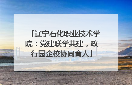 辽宁石化职业技术学院：党建联学共建，政行园企校协同育人
