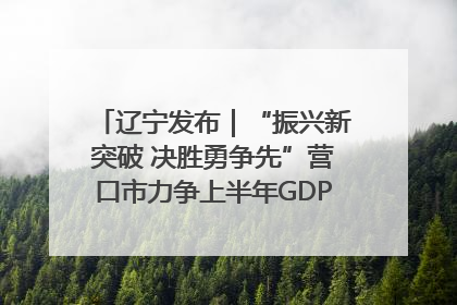辽宁发布｜“振兴新突破 决胜勇争先”营口市力争上半年GDP增长6%左右