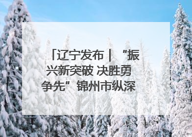 辽宁发布｜“振兴新突破 决胜勇争先”锦州市纵深推进区域中心城市建设 打造高质量发展新增长极