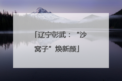 辽宁彰武：“沙窝子”焕新颜