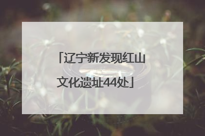 辽宁新发现红山文化遗址44处