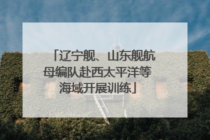 辽宁舰、山东舰航母编队赴西太平洋等海域开展训练