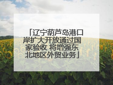 辽宁葫芦岛港口岸扩大开放通过国家验收 将增强东北地区外贸业务