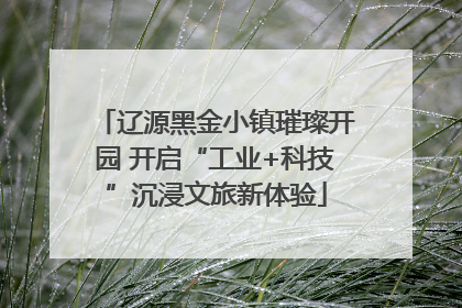 辽源黑金小镇璀璨开园 开启“工业+科技”沉浸文旅新体验