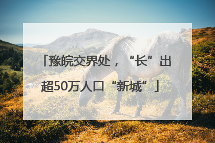 豫皖交界处，“长”出超50万人口“新城”
