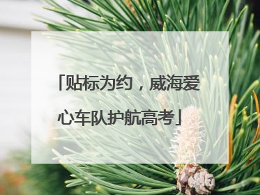 贴标为约，威海爱心车队护航高考