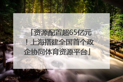 资源配置超65亿元！上海搭建全国首个政企协同体育资源平台