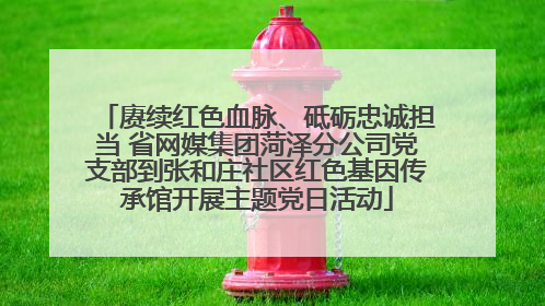 赓续红色血脉、砥砺忠诚担当 省网媒集团菏泽分公司党支部到张和庄社区红色基因传承馆开展主题党日活动