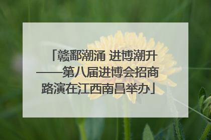 赣鄱潮涌 进博潮升——第八届进博会招商路演在江西南昌举办