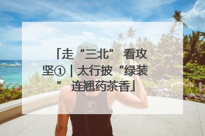 走“三北” 看攻坚①｜太行披“绿装” 连翘药茶香