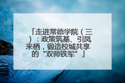走进常德学院（三）：政策筑基、引凤来栖，锻造校城共享的“双师铁军”