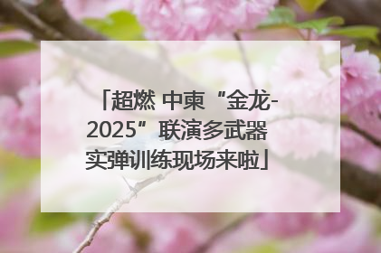 超燃 中柬“金龙-2025”联演多武器实弹训练现场来啦