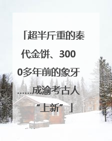 超半斤重的秦代金饼、3000多年前的象牙……成渝考古人“上新”