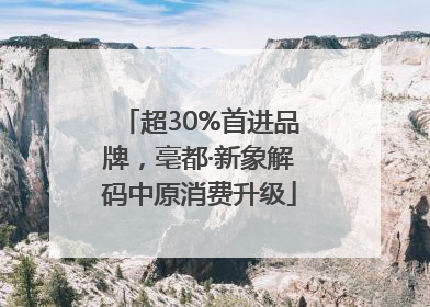 超30%首进品牌，亳都·新象解码中原消费升级