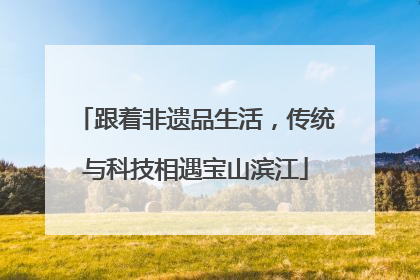 跟着非遗品生活，传统与科技相遇宝山滨江