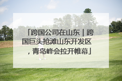 跨国公司在山东｜跨国巨头抢滩山东开发区，青岛峰会拉开帷幕