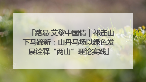 路易·艾黎中国情｜祁连山下马蹄新：山丹马场以绿色发展诠释“两山”理论实践