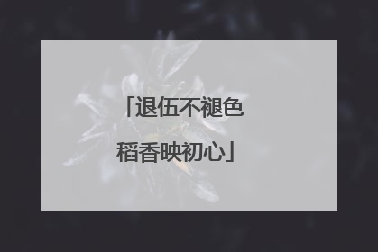 退伍不褪色 稻香映初心