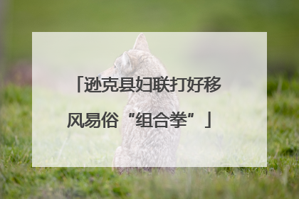 逊克县妇联打好移风易俗“组合拳”