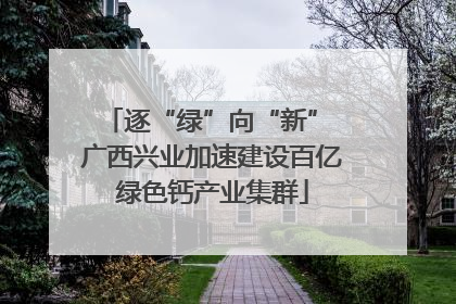 逐“绿”向“新” 广西兴业加速建设百亿绿色钙产业集群
