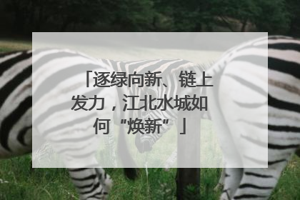 逐绿向新、链上发力，江北水城如何“焕新”