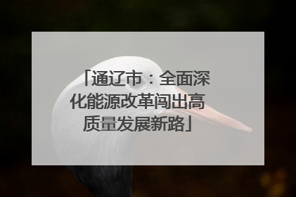 通辽市：全面深化能源改革闯出高质量发展新路