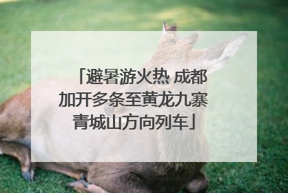 避暑游火热 成都加开多条至黄龙九寨青城山方向列车