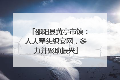 邵阳县黄亭市镇：人大牵头织安网，多力并聚助振兴