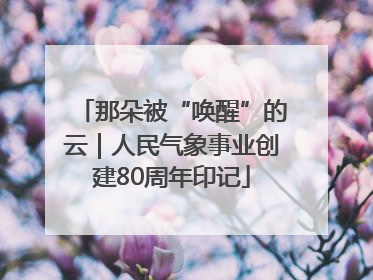 那朵被“唤醒”的云｜人民气象事业创建80周年印记