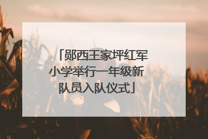 郧西王家坪红军小学举行一年级新队员入队仪式