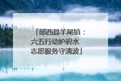 郧西县羊尾镇：六五行动护碧水 志愿服务守清波