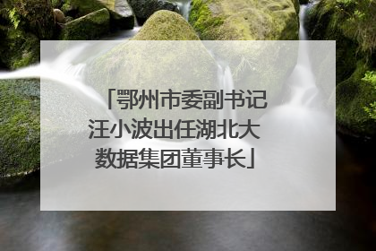 鄂州市委副书记汪小波出任湖北大数据集团董事长