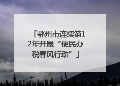 鄂州市连续第12年开展“便民办税春风行动”