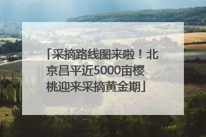 采摘路线图来啦！北京昌平近5000亩樱桃迎来采摘黄金期