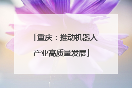 重庆：推动机器人产业高质量发展