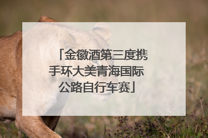 金徽酒第三度携手环大美青海国际公路自行车赛
