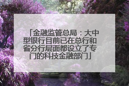 金融监管总局：大中型银行目前已在总行和省分行层面都设立了专门的科技金融部门