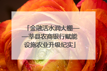 金融活水润大棚——莘县农商银行赋能设施农业升级纪实