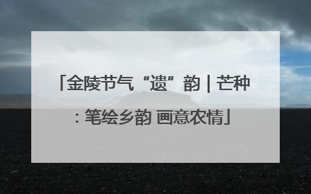金陵节气“遗”韵｜芒种：笔绘乡韵 画意农情
