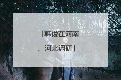 韩俊在河南、河北调研